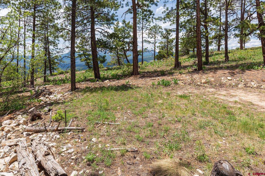 3111 Durango Cliffs Drive Property Photo 33