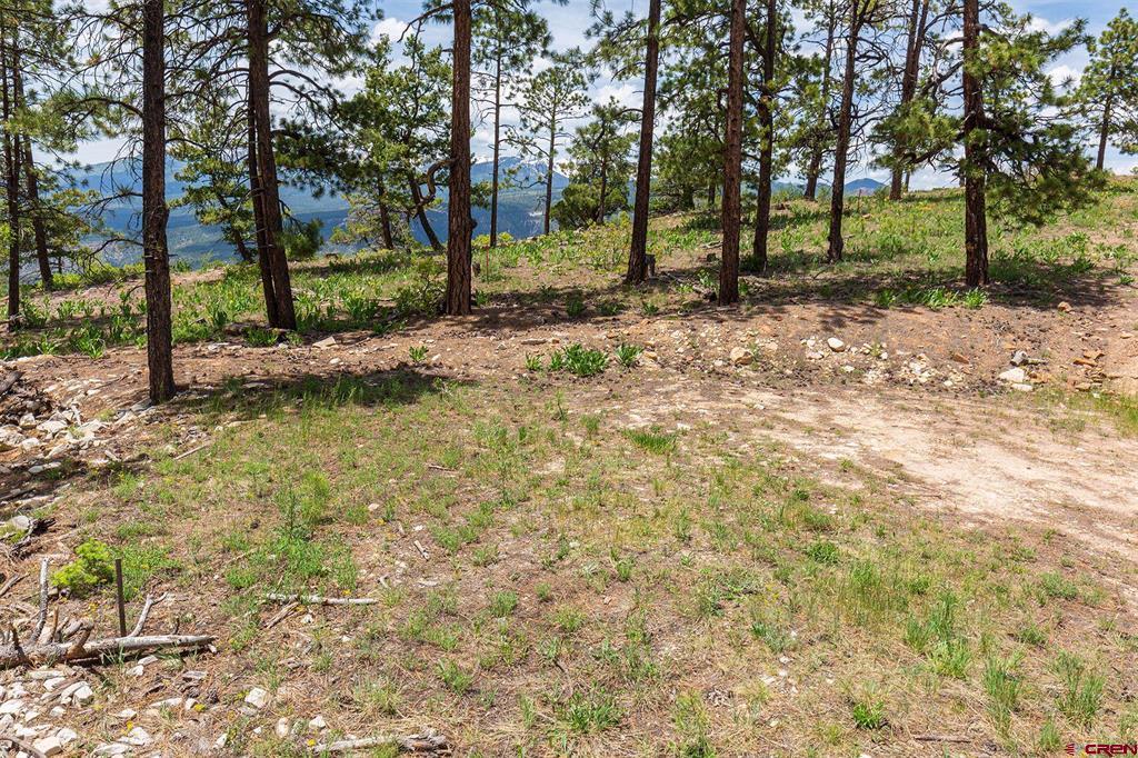3111 Durango Cliffs Drive Property Photo 34