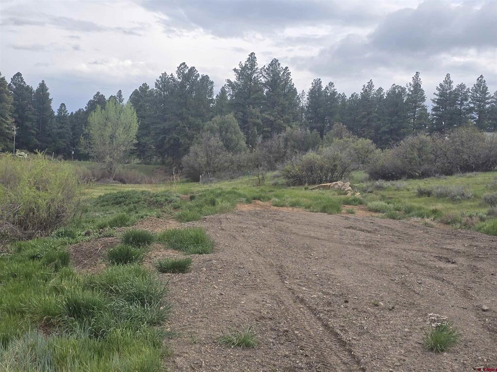 634 Cactus Drive Property Photo 1