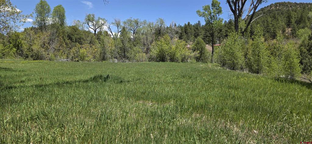 206 Shasta Trail Property Photo 33