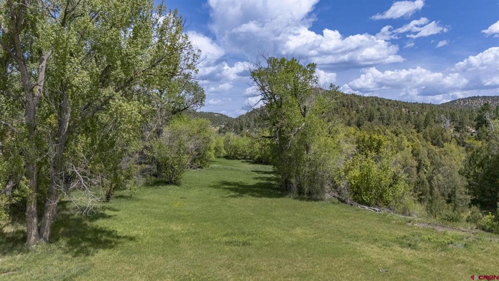 206 Shasta Trail Property Photo 41