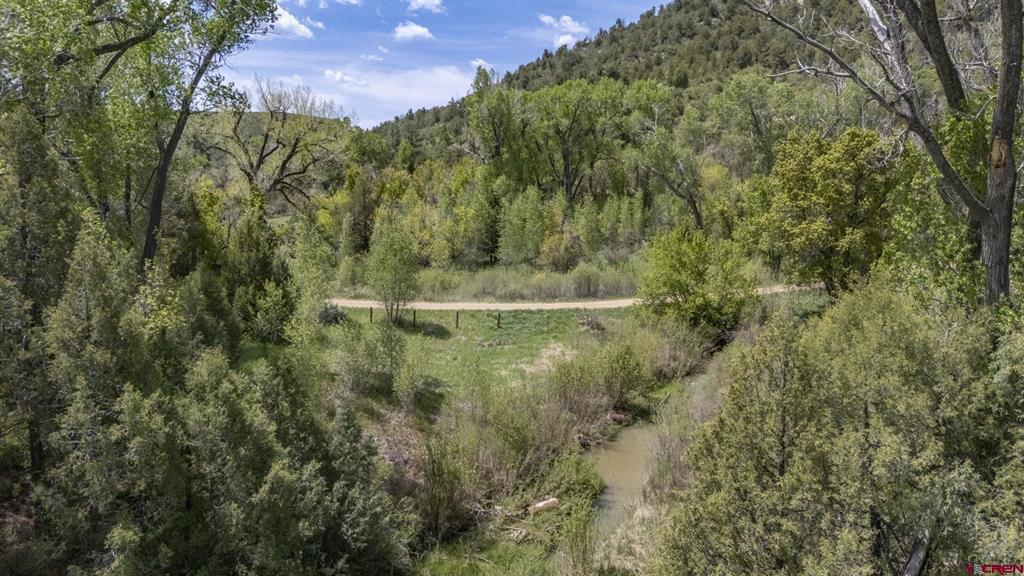 206 Shasta Trail Property Photo 43