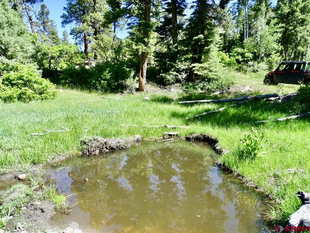 000 Sr 512 Highway Property Photo 39