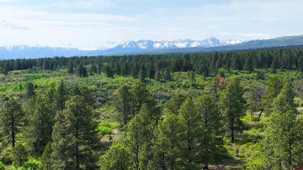 35 Acres Davewood Road Property Photo