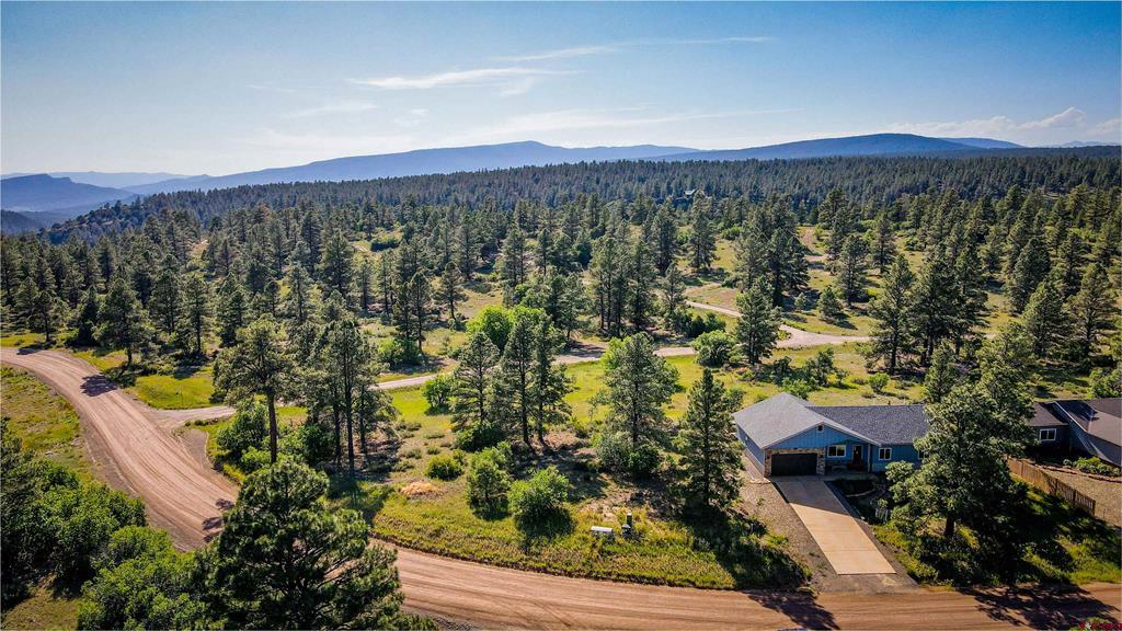 1223 Trails Boulevard Property Photo 40