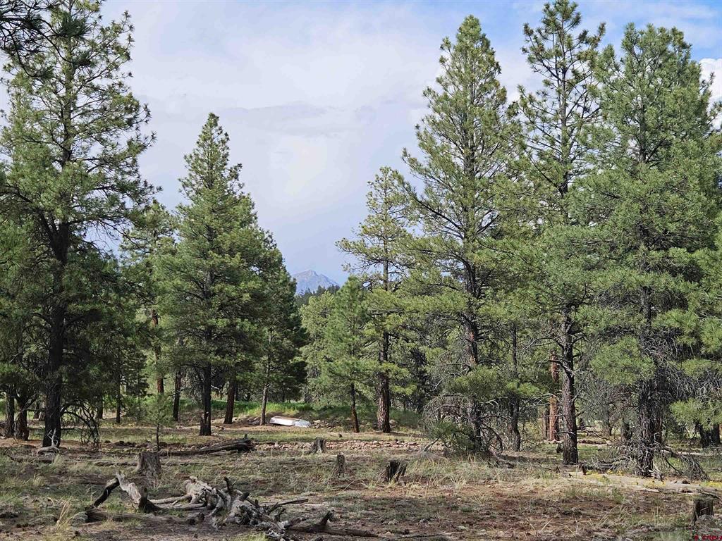 155 Monterosa Court Property Photo 1