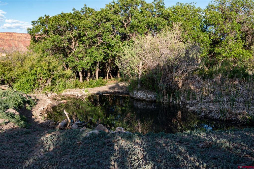 825115 Property Photo 29