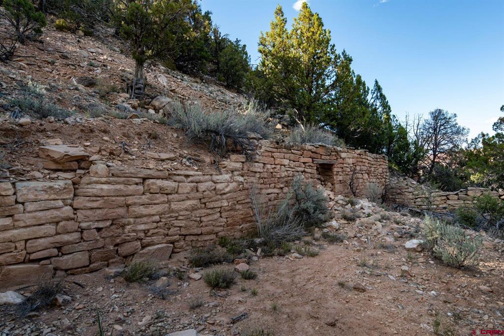 825115 Property Photo 42
