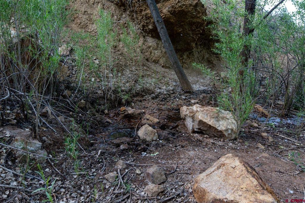 825115 Property Photo 44