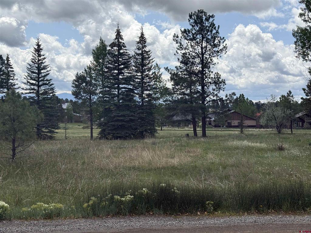 201 Pines Club Place Property Photo 1