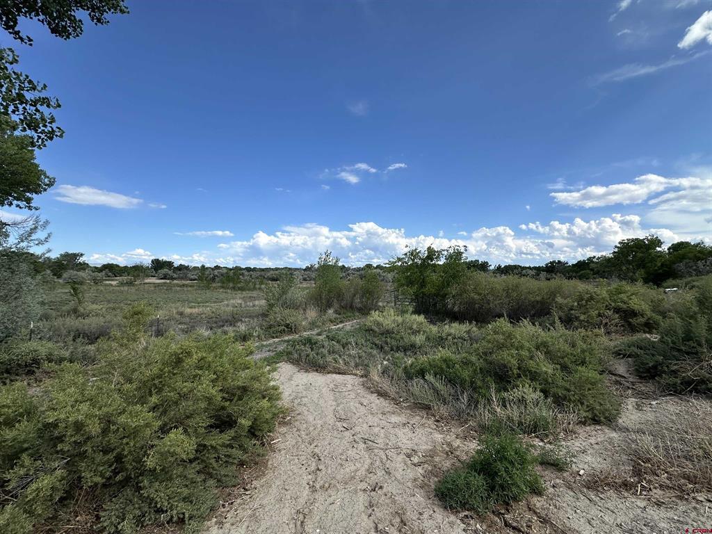 Tbd 1500 Court Property Photo 24