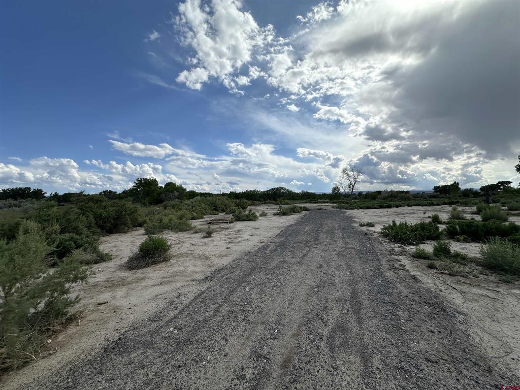 Tbd 1500 Court Property Photo 25