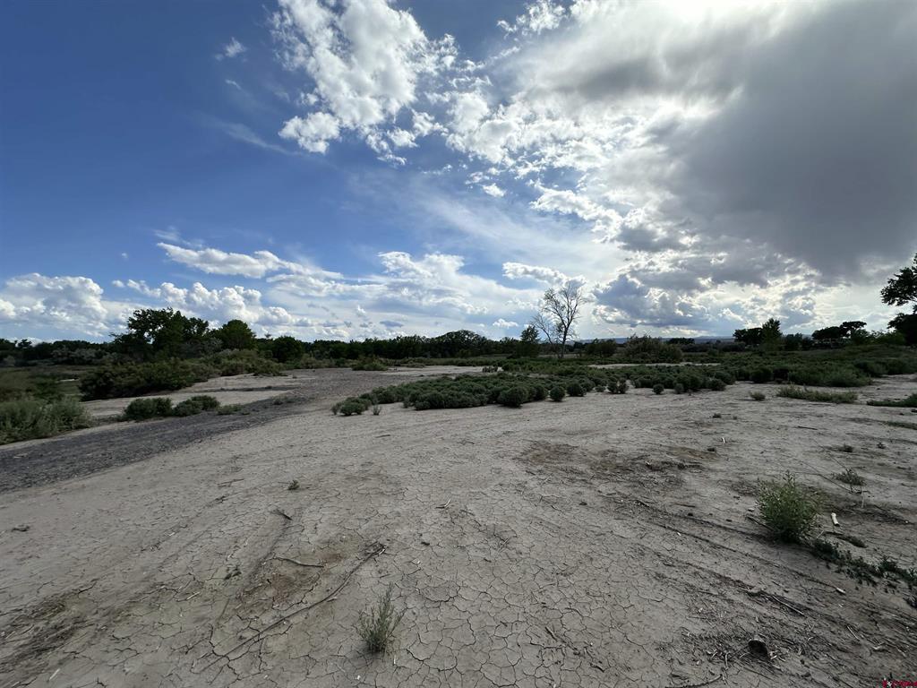Tbd 1500 Court Property Photo 26