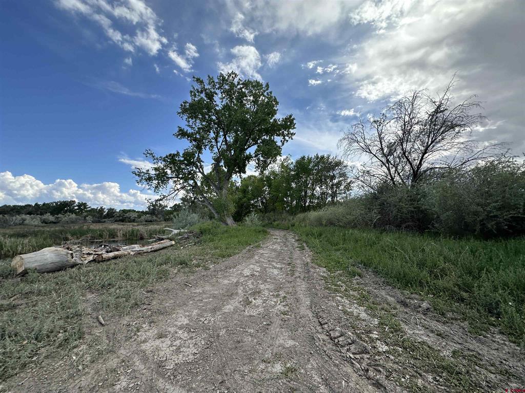 Tbd 1500 Court Property Photo 28