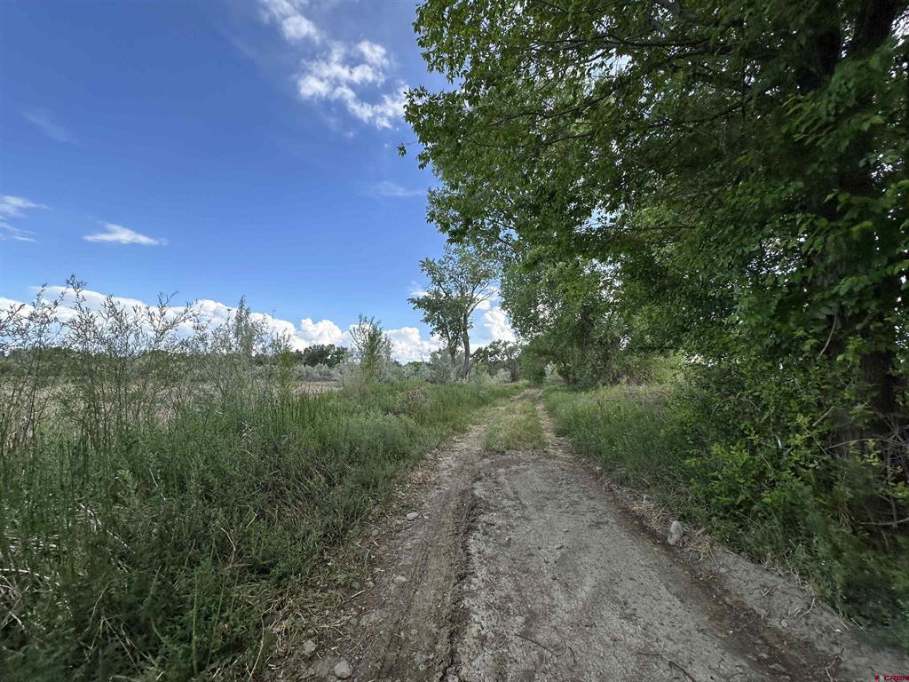 Tbd 1500 Court Property Photo 30