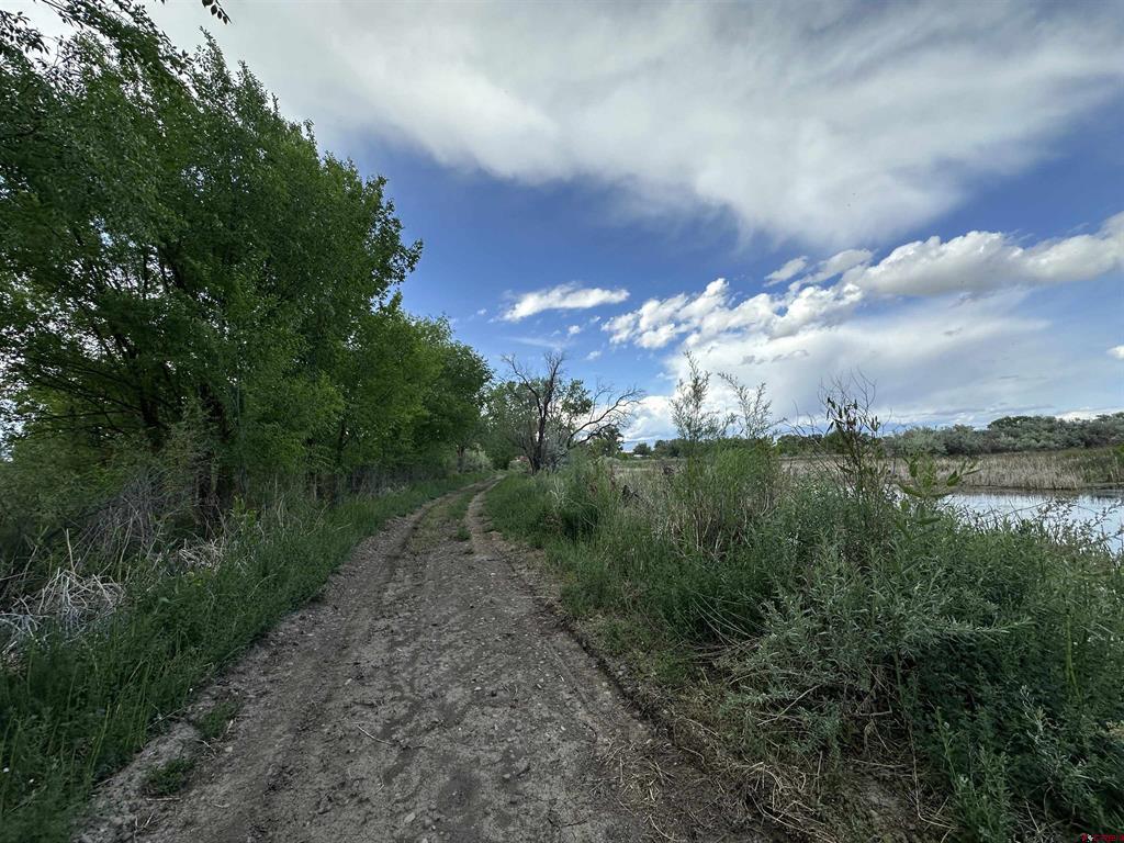 Tbd 1500 Court Property Photo 31