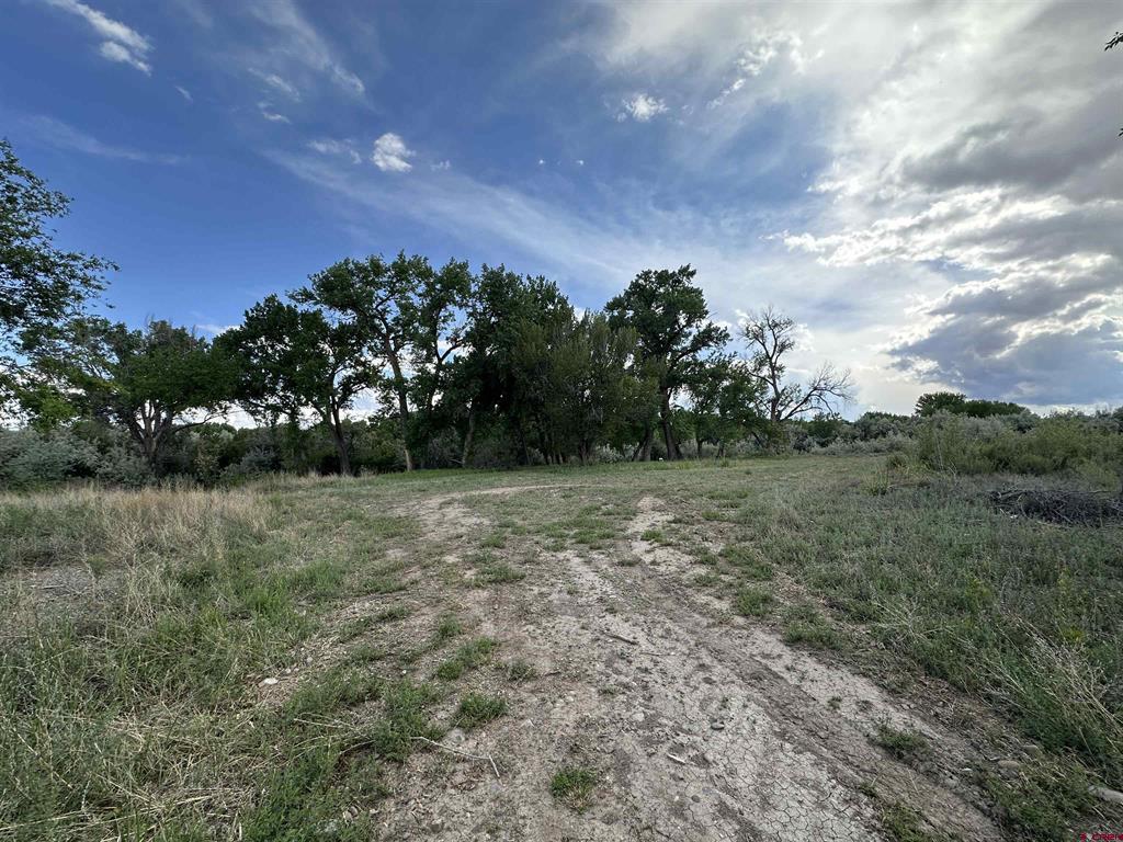 Tbd 1500 Court Property Photo 32