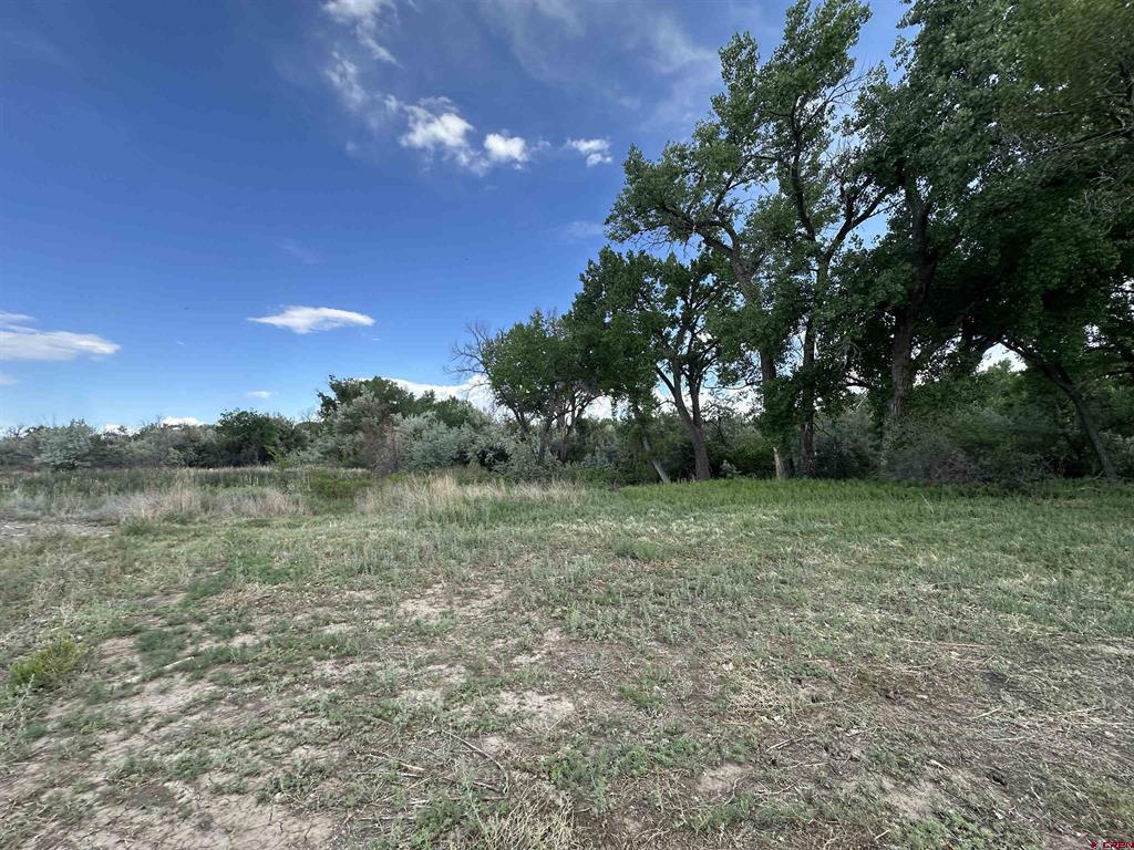 Tbd 1500 Court Property Photo 33