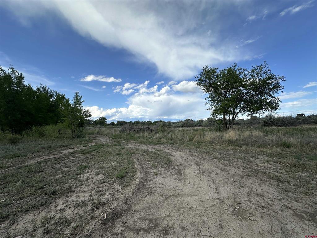 Tbd 1500 Court Property Photo 34