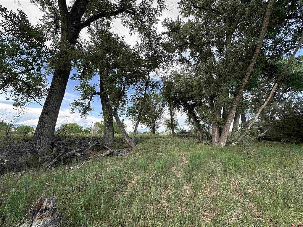 Tbd 1500 Court Property Photo 35