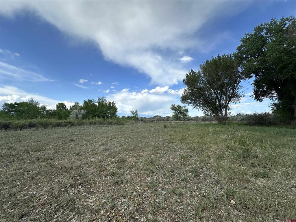 Tbd 1500 Court Property Photo 36
