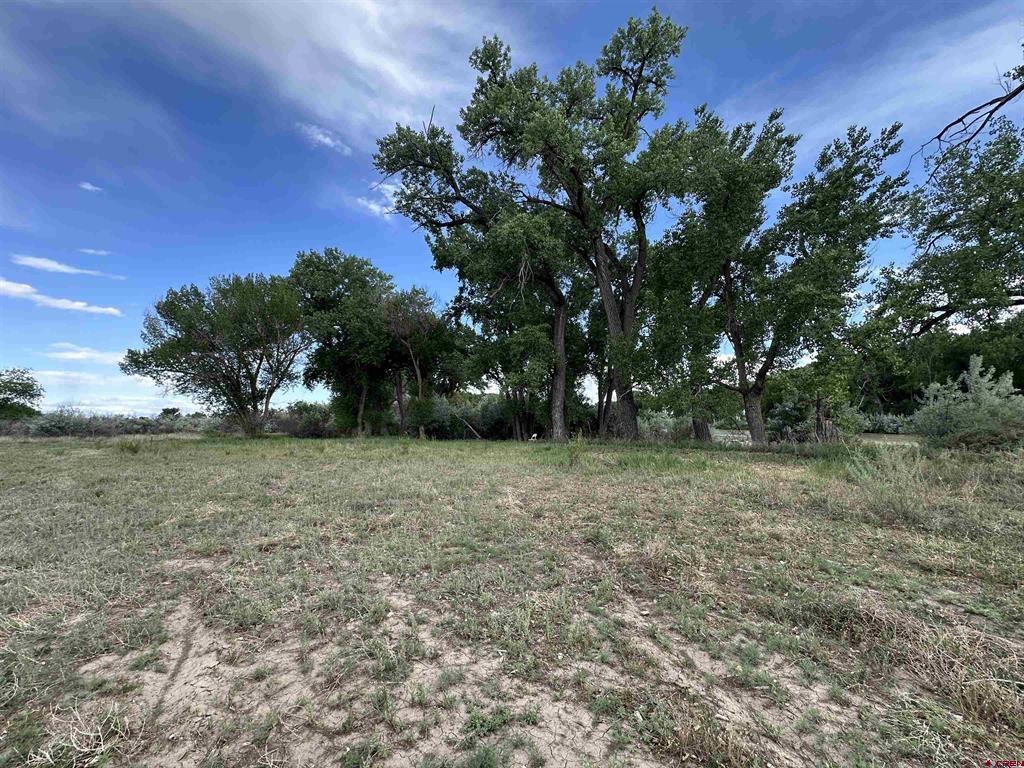 Tbd 1500 Court Property Photo 37