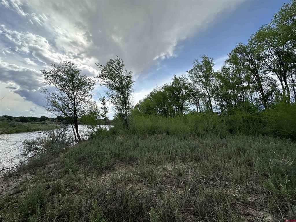 Tbd 1500 Court Property Photo 38