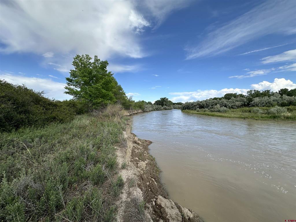 Tbd 1500 Court Property Photo 41