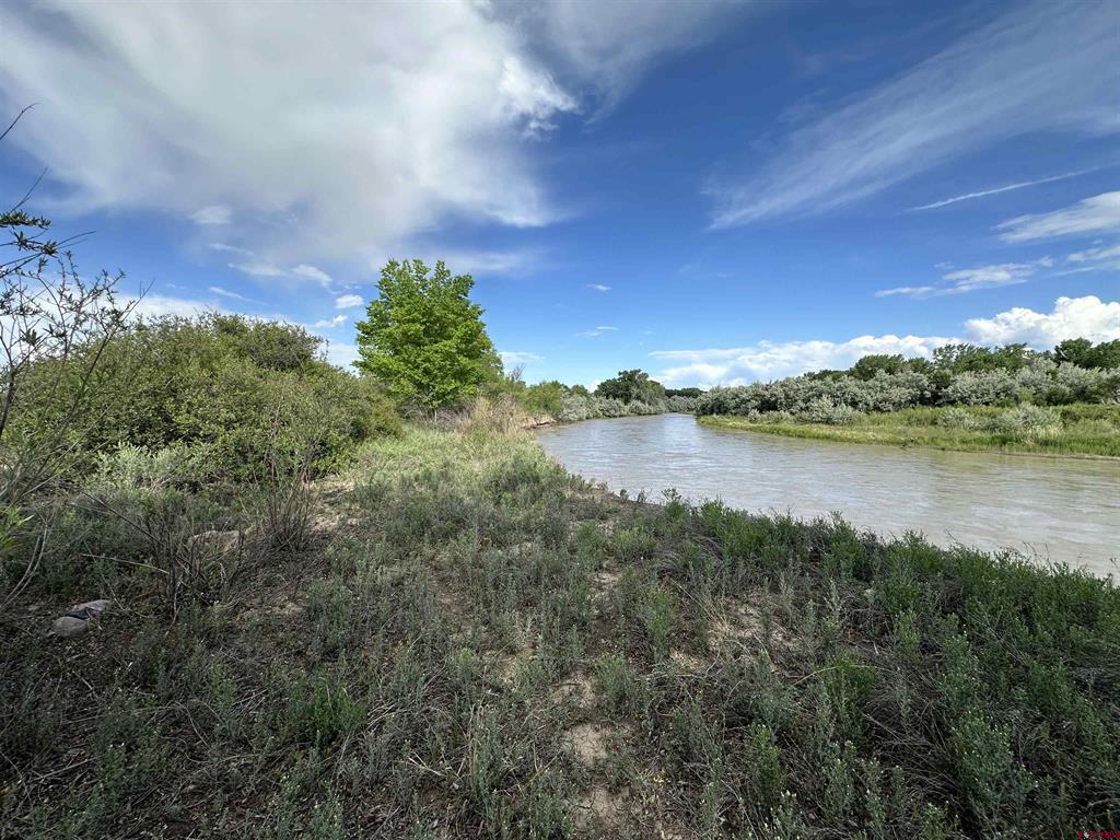 Tbd 1500 Court Property Photo 43