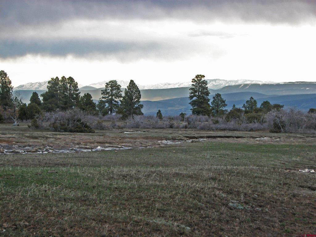 Tdb Homestead Government Springs Road Roads Property Photo 2