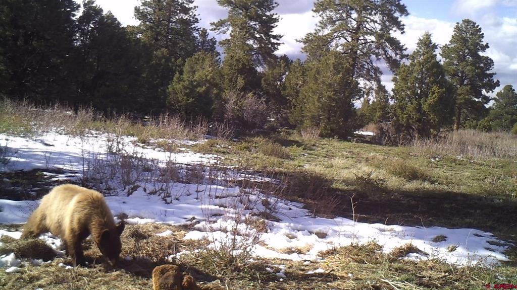 Tdb Homestead Government Springs Road Roads Property Photo 8