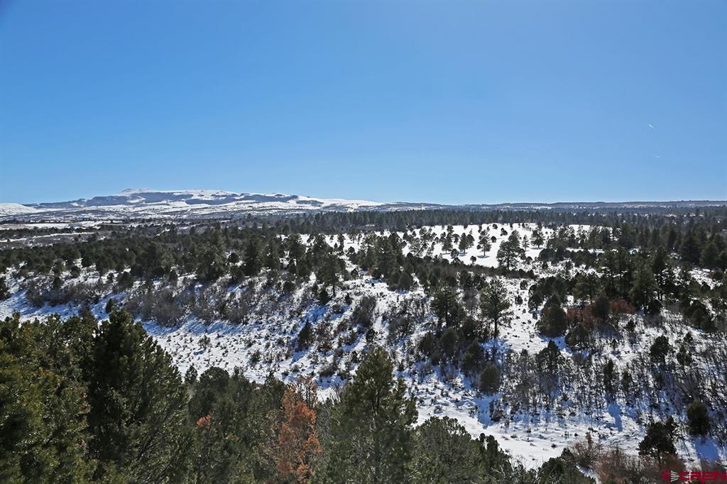 Tdb Homestead Government Springs Road Roads Property Photo 9