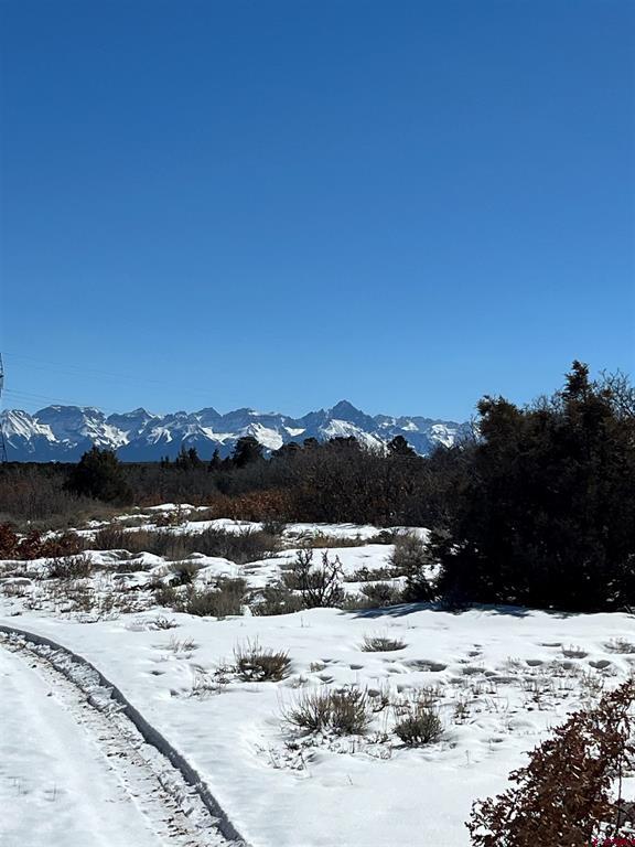 Tdb Homestead Government Springs Road Roads Property Photo 12