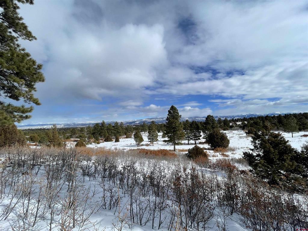 Tdb Homestead Government Springs Road Roads Property Photo 13