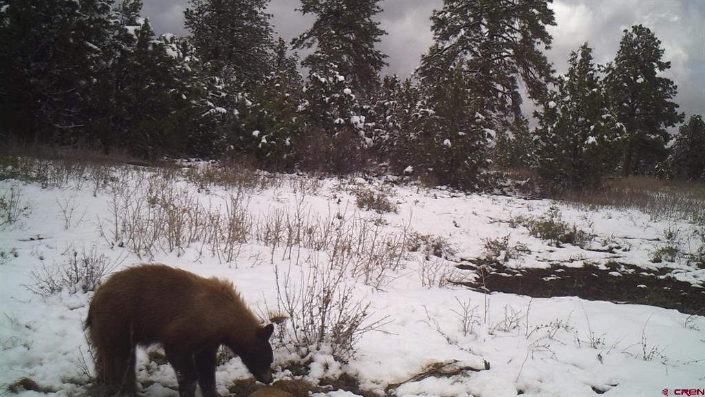 Tdb Homestead Government Springs Road Roads Property Photo 14