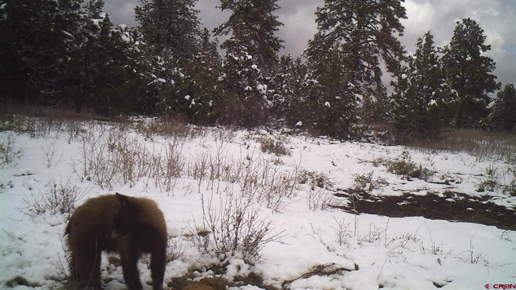 Tdb Homestead Government Springs Road Roads Property Photo 15