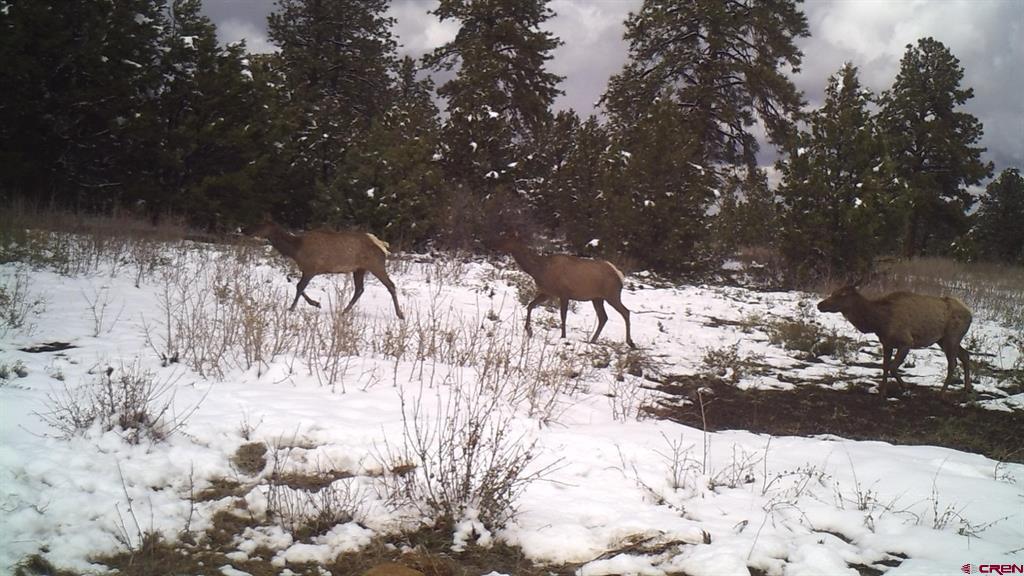 Tdb Homestead Government Springs Road Roads Property Photo 16