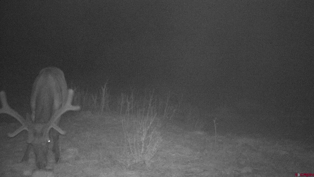 Tdb Homestead Government Springs Road Roads Property Photo 19