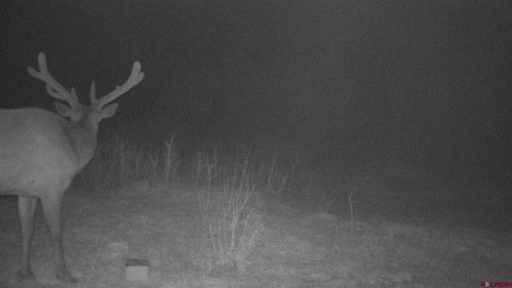 Tdb Homestead Government Springs Road Roads Property Photo 20