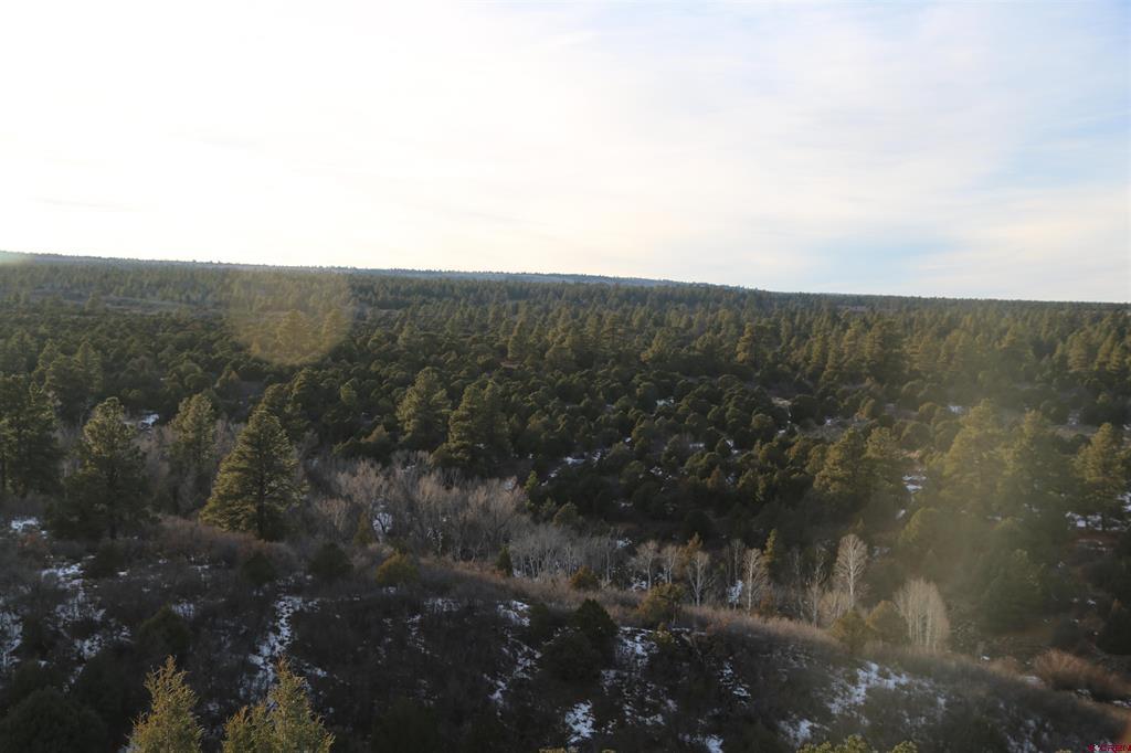 Tdb Homestead Government Springs Road Roads Property Photo 24