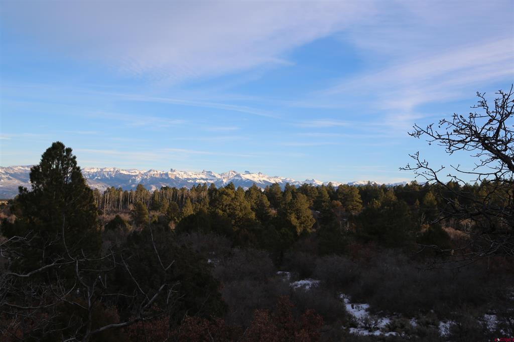 Tdb Homestead Government Springs Road Roads Property Photo 25