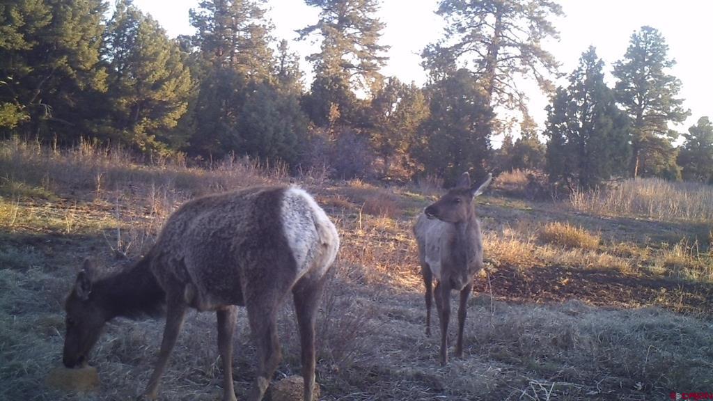Tdb Homestead Government Springs Road Roads Property Photo 26