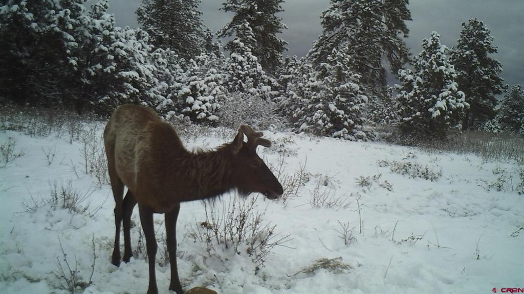 Tdb Homestead Government Springs Road Roads Property Photo 30