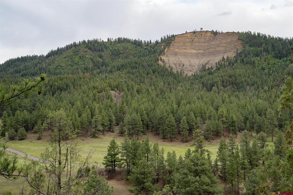 2615 Echo Canyon Ranch Lane Property Photo 5