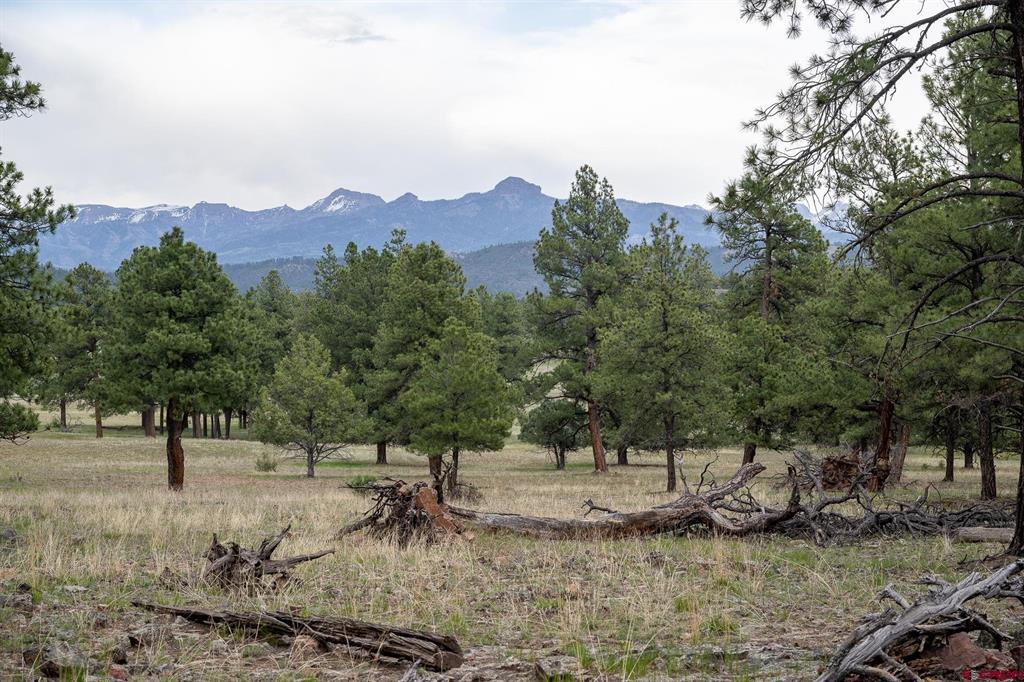 2615 Echo Canyon Ranch Lane Property Photo 6