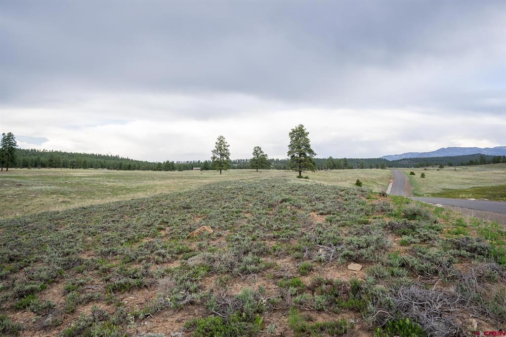 2615 Echo Canyon Ranch Lane Property Photo 8