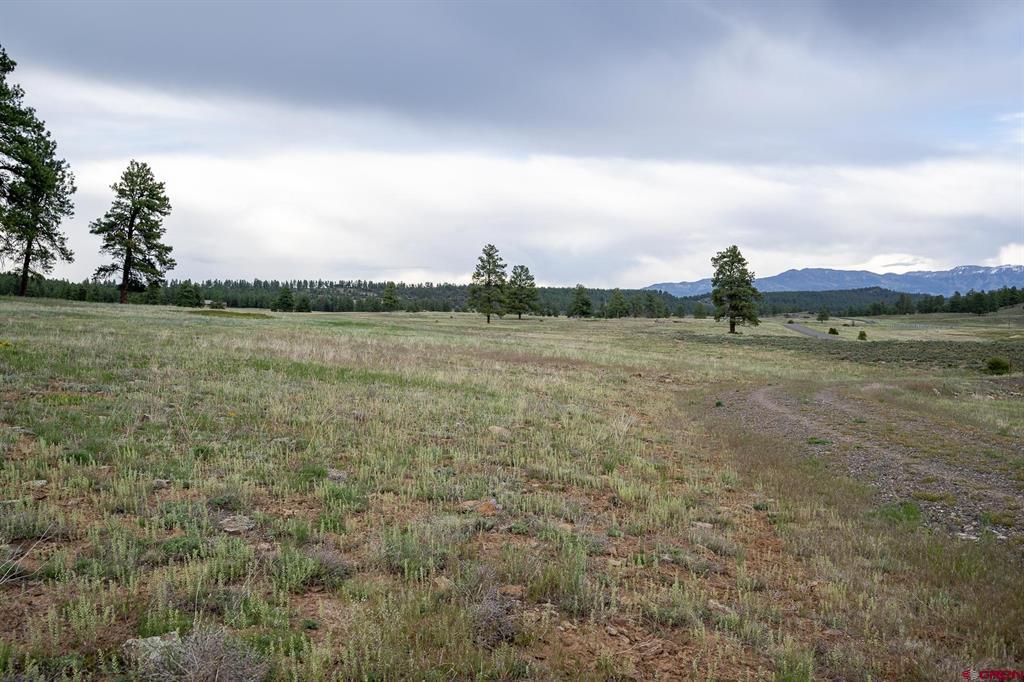 2615 Echo Canyon Ranch Lane Property Photo 11