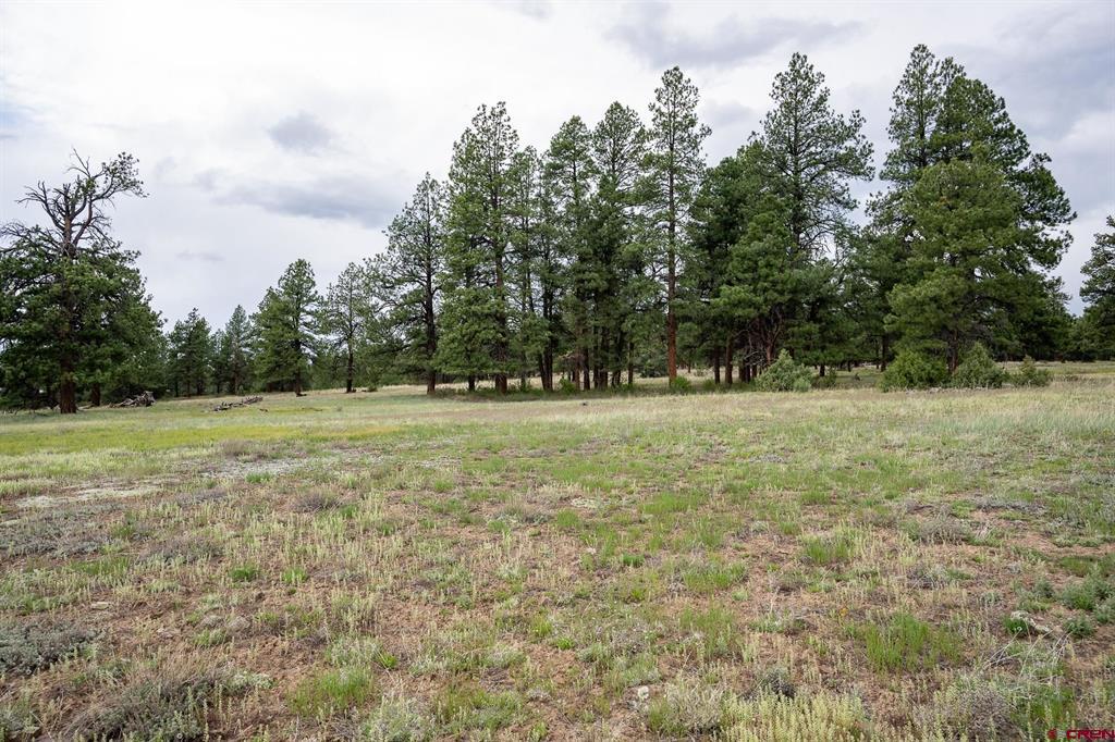 2615 Echo Canyon Ranch Lane Property Photo 12