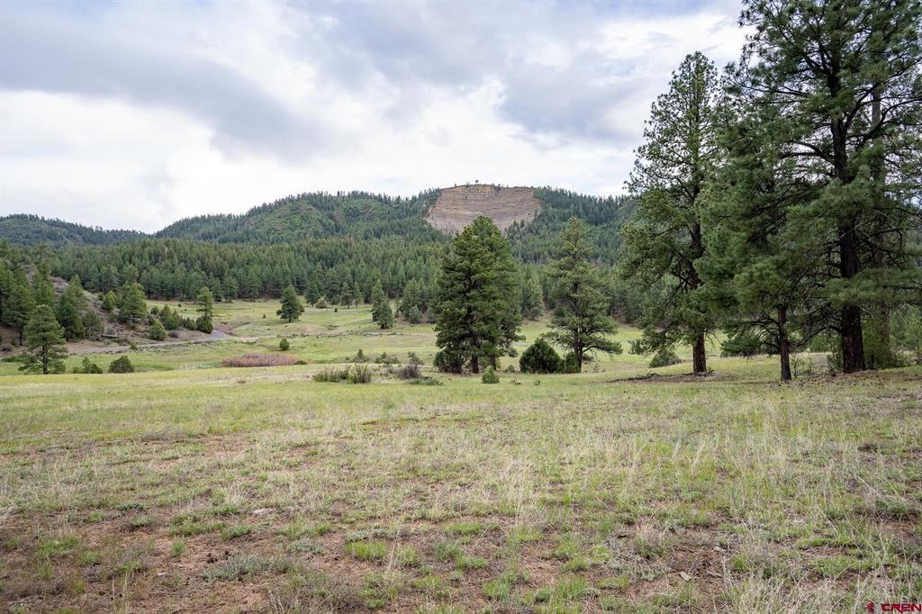 2615 Echo Canyon Ranch Lane Property Photo 16