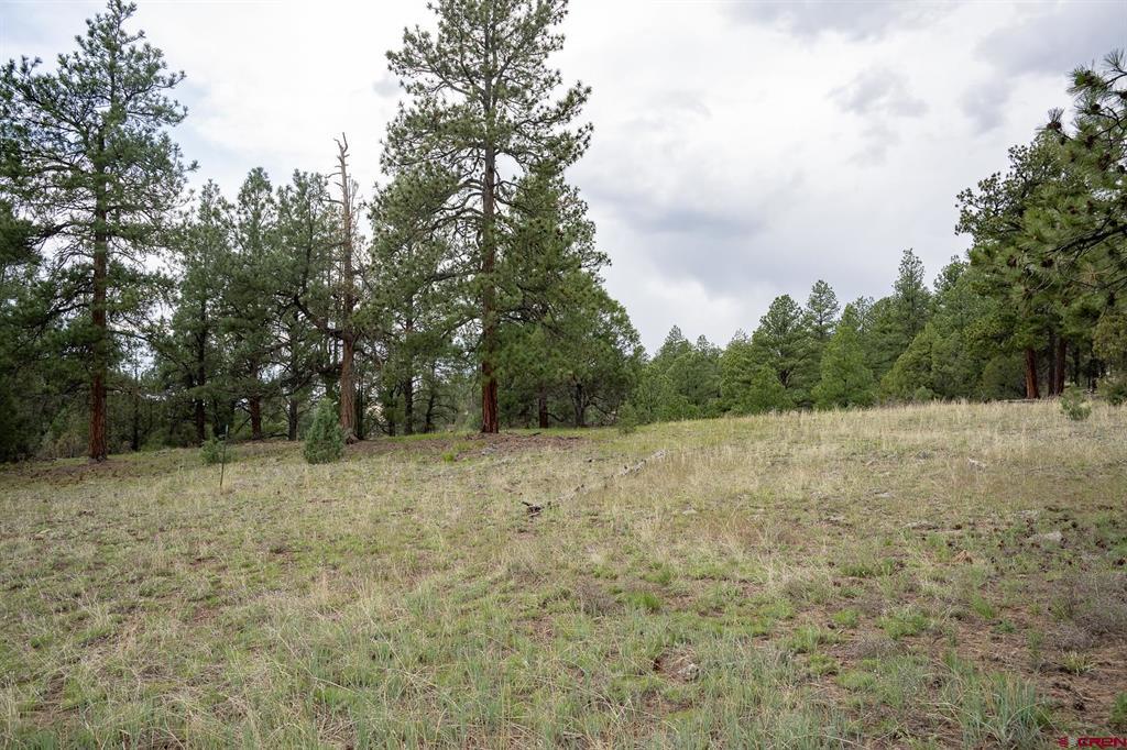 2615 Echo Canyon Ranch Lane Property Photo 17